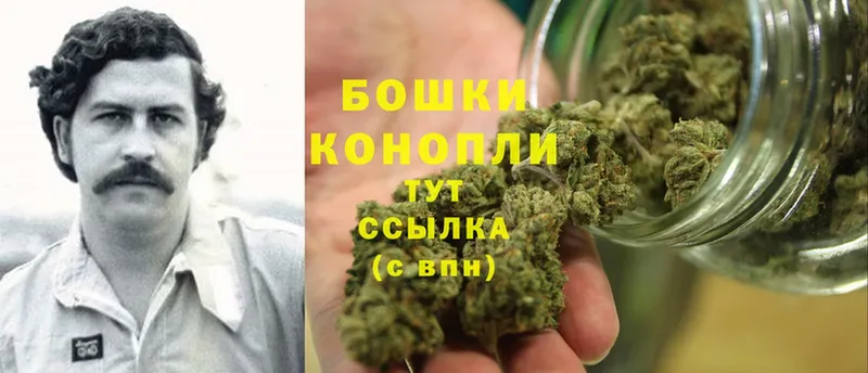 Шишки марихуана Bruce Banner  Нововоронеж 